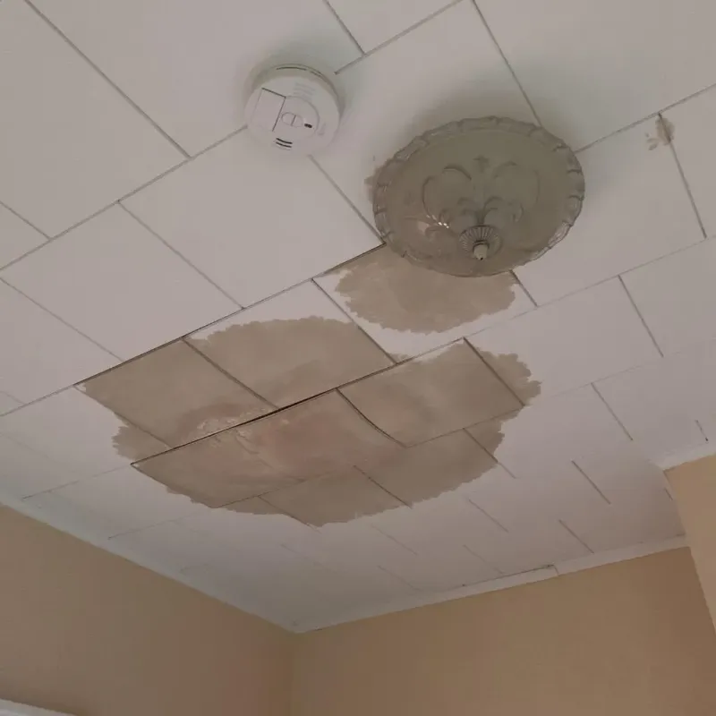 Ceiling Water Damage Repair in Philipsburg, PA