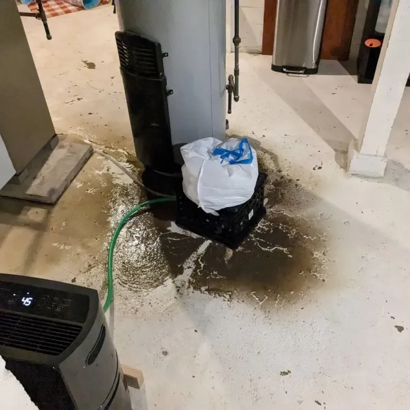 Sewage Backup Cleanup Service in Philipsburg, PA